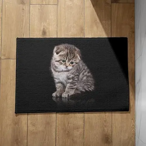 Produktbild: EHOMERY Schmutzfangmatte Innen Dünn Türmatte XL Katze Schmutzfangmatte Extra Dünn Innen Fussmatte Draussen 40x60cm, rutschfeste Dekorative Fußmatte Aus Plüschbaumwolle