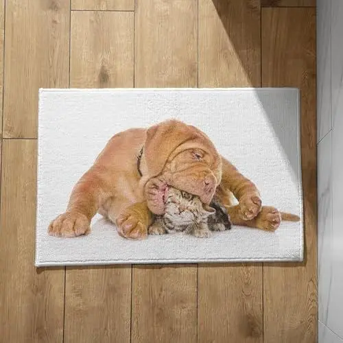 Produktbild: EHOMERY Fußmatte Spruch Türmatte Innen Waschbar Katzen und Hunde Schmutzfangmatte Terrasse Bunte Fussmatte Aussen 45x75cm, rutschfeste Dekorative Fußmatte Aus Plüschbaumwolle