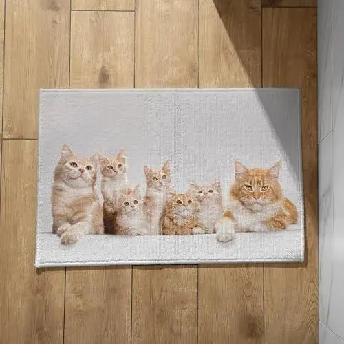 Produktbild: EHOMERY Fußmatten Innen Groß Türmatte Landhaus Katze Schmutzfangmatte Innen Nach Maß Floordirekt Sauberlaufmatte 45x75cm, rutschfeste Dekorative Fußmatte Aus Plüschbaumwolle