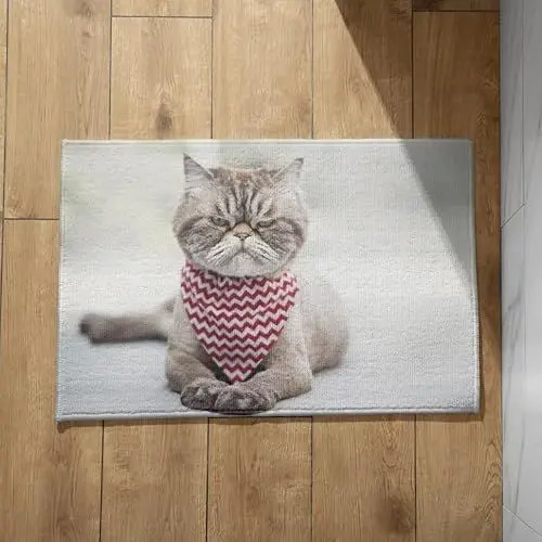 Produktbild: EHOMERY Schmutzfangmatte Niedrig Türmatte Innen Groß Katze Haustür Fußmatten Lustige Fussmatte Innen 45x75cm, rutschfeste Dekorative Fußmatte Aus Plüschbaumwolle