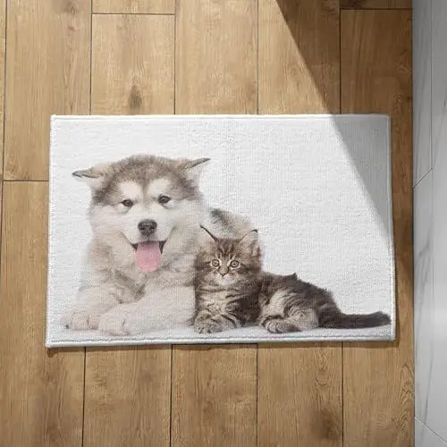 Produktbild: EHOMERY Schmutzfangmatte mit Motiv Sauberlaufmatte Baumwolle Katzen und Hunde Fußmatte Außen Schmal Türmatte Extra Dünn 40x60cm,