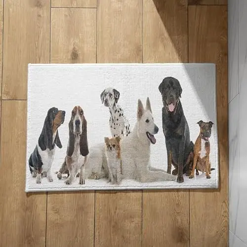 Produktbild: EHOMERY Schmutzfangmatte mit Muster rutschfeste Fussmatte Innen Katzen und Hunde Schmutzfangmatte Innen Ohne Rand Schmale Türmatte 40x60cm,