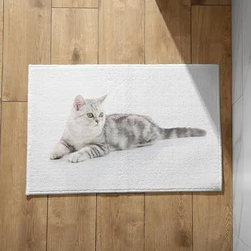 Produktbild: EHOMERY Schmutzfangmatte Treppenstufe Außen Sauberlaufmatte Flur Katze Schmutzfangmatte Innen Läufer Türmatte Motiv 50x80cm, rutschfeste Dekorative Fußmatte Aus Plüschbaumwolle