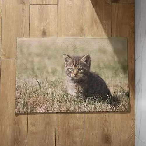 Produktbild: EHOMERY rutschfeste Unterlage Fußmatte Kleine Türmatte Katze Schmutzfangmatte Außen Waschbar Türmatte Lustig Innen Balkontür 45x75cm,