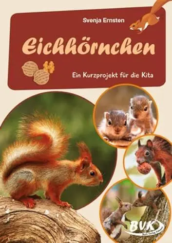 Produktbild: Eichhörnchen: Ein Kurzprojekt für die Kita (Kita-Kurzprojekte) (BVK-Kurzprojekte)