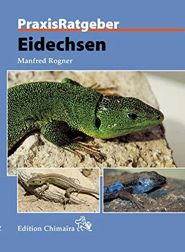Produktbild: Eidechsen