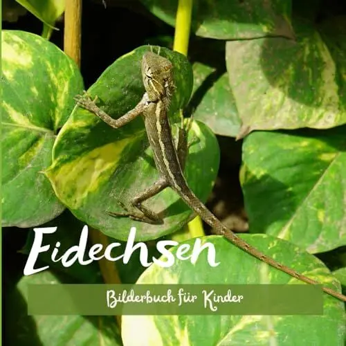 Produktbild: Eidechsen: Bilderbuch für Kinder