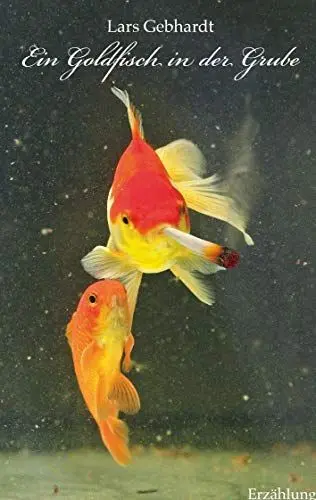 Produktbild: Ein Goldfisch in der Grube