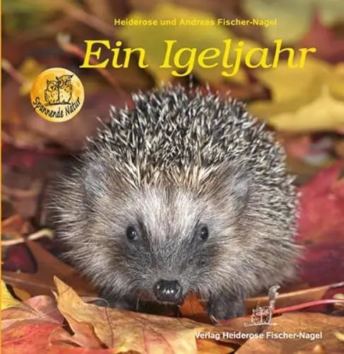 Produktbild: Ein Igeljahr