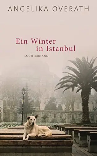 Produktbild: Ein Winter in Istanbul: Roman