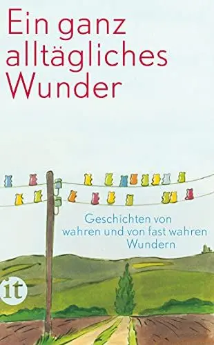 Produktbild: Ein ganz alltägliches Wunder. Geschichten von wahren und fast wahren Wundern