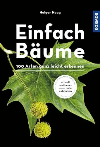 Produktbild: Einfach Bäume: 100 Arten ganz leicht erkennen - Mit mehr als 300 Illustrationen