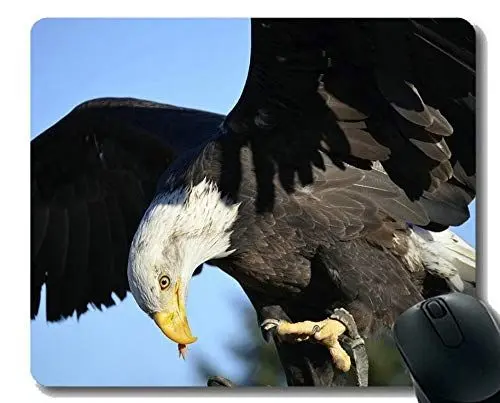 Produktbild: Einzigartige kundenspezifische Mausunterlage Mousepad, Greifer Eagles Mausunterlagen