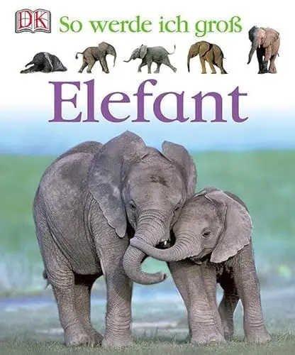 Produktbild: Elefant