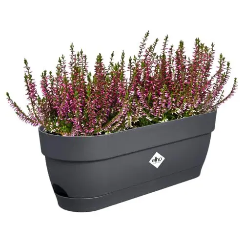 Produktbild: elho Vibia Campana Balkonkasten 50 mit Wasserreservoir - Blumentopf Balkon - 100% recyceltem Plastik - Ø 49.0 x H 17.0 cm - Schwarz/Anthrazit