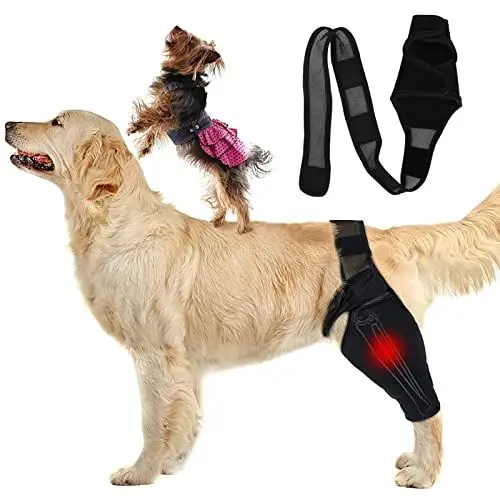 Produktbild: Ellbogenschützer für Hunde, Ellbogenschützer für Hunde, Ellbogen- und Schulterunterstützung, Ellbogenhygrom, Dysplasie, Osteoarthritis, Ellbogenschwielen, Druckgeschwüre und Schulterluxation(XL)