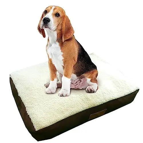 Produktbild: Ellie-Bo Hundebett für Innen, Matratze weich und waschbar, Bezug aus Kunst-Velours und Schaffell, Füllung: Polyesterfaser, für 107-cm-Hundekäfig, Größe XL: 100 x 66 x 10 cm, in Braun und Weiß