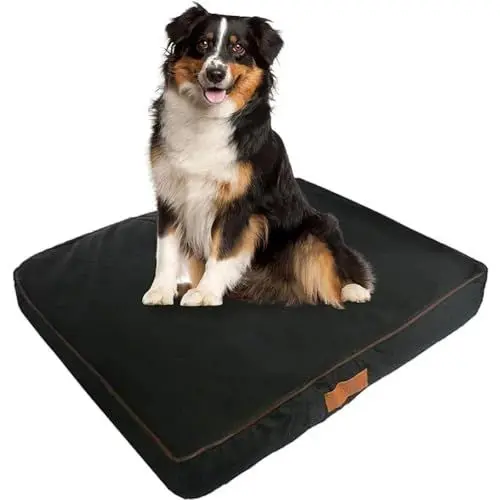 Produktbild: Ellie-Bo Orthopädisches Hundebett mit Memory-Schaum, schwarz, wasserfest, für den 91-cm-Hundekäfig, Größe L