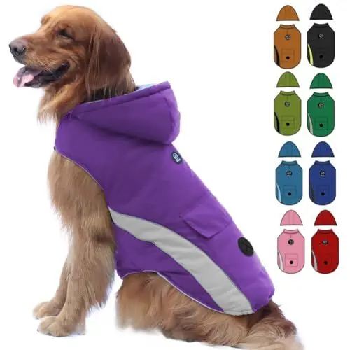 Produktbild: EMUST Dog Jacket, Soft Dog Winter Jackets with Hood, Waterproof Winter Coats for Small Dogs, Small Dog Coat for Cold Weather for Puppy Small Dogs, S/Purple