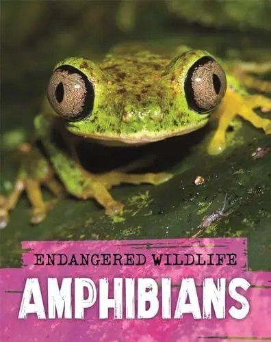 Produktbild: Endangered Wildlife: Rescuing Amphibians