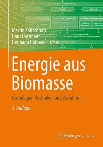 Produktbild: Energie aus Biomasse: Grundlagen, Techniken und Verfahren