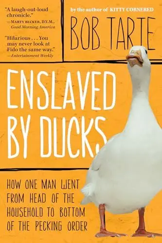 Produktbild: Enslaved by Ducks: How One Man Went from Head of the Household to Bottom of the Pecking Order