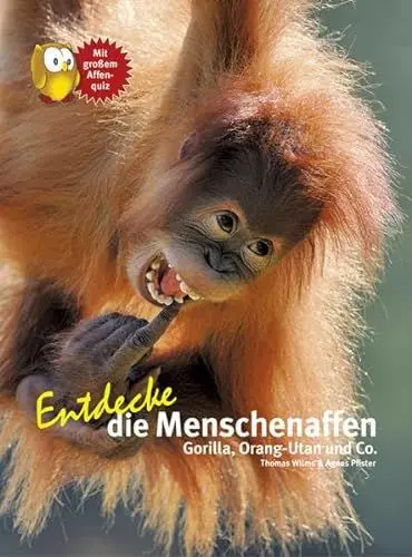 Produktbild: Entdecke die Menschenaffen: Gorilla, Orang-Utan und Co (Entdecke - Die Reihe mit der Eule: Kindersachbuchreihe)
