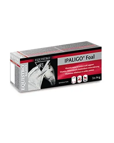 Produktbild: EQUISTRO® Ipaligo Foal | Ergänzungsfuttermittel für Pferde | Unterstützt Fohlen mit essentiellen Vitaminen, Mineralstoffen & Aminosäuren | 3x14g