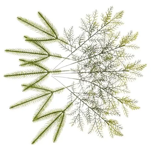 Produktbild: ERINGOGO 10stücke Kunst-pinienzweige Für Weihnachtsbaum-Dekoration Realistische Fichte Und Zypressen-stämme Für Festliche Anlässe Und -projekte