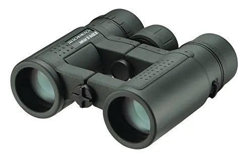Produktbild: ESCHENBACH Optik 8x32 Sektor D compact+ Fernglas – der leichte Allrounder für gehobene Ansprüche für Wanderung, Vogelbeobachtung, Wildbeobachtung in der Natur - geeignet für Brillenträger