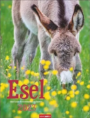 Produktbild: Esel-Kalender 2023. Jahres-Wandkalender 2023 mit Fotos von Jean-Louis Klein und Marie-Luce Hubert. Tierkalender mit süßen Eselfotos. Planer mit Platz zum Eintragen. Hochformat 30x39 cm