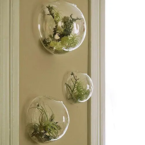 Produktbild: EssenceLiving Set von 3 Wandblasen Terrarien Indoor Pflanzen Pflanzer Vase Wand montiert Mini Aquarium Wanddekor