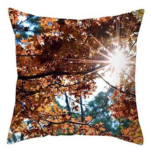 Produktbild: Ethereval Leinen Kissenbezüge Dekokissen Kissenbezug Landhausstil Kissenbezüge Ostern Kissenhülle Landhausstil Premiumtouch-Kissenbezüge 45x45cm