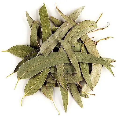 Produktbild: Eukalyptus Loseblatt Tee Biologischem Anbau – Eukalyptuskraut Tee Bio Eucalyptus Eukalyptus Tee Eukalyptus Bio Tee