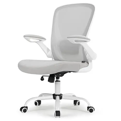Produktbild: EUREKA ERGONOMIC Bürostuhl Ergonomisch Schreibtischstuhl aus Mesh mit Klappbaren Armlehnen Computerstuhl mit Verstellbarer Lendenwirbelstütze Chefsessel Bürostuhl
