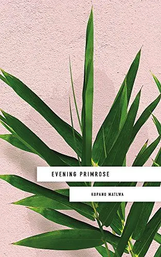 Produktbild: Evening Primrose: a heart-wrenching novel for our times