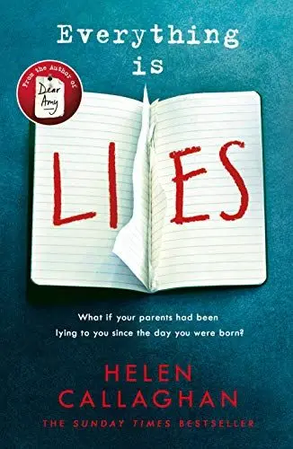 Produktbild: Everything Is Lies: From the Sunday Times bestselling author of Dear Amy