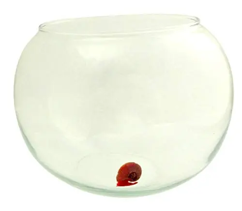 Produktbild: Evil WearⓇ Posthorn Schnecken-Set rot Aquarium Glas-Kugel Pflanze 0,5-2cm