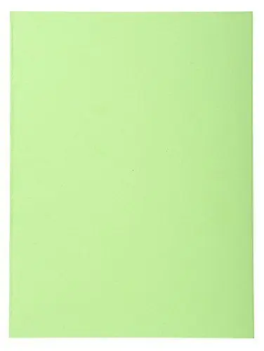 Produktbild: Exacompta 410013E Packung (mit 100 Aktendeckeln Forever, aus Recycling Karton 250 g, DIN A4, 21 x 29,7 cm) lindgrün