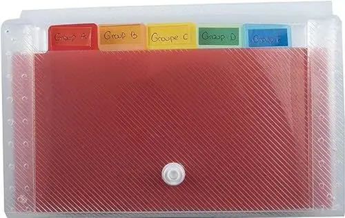 Produktbild: Exacompta 55498E Premium Kunststoff-Fächermappe Crystal 18 x 11 cm mit 6 farbigen Fächern mit dehnbarem Rücken und Druckknopfverschluss zur Aufbewahrung Ihrer Dokumente Ordnungsmappe transparent