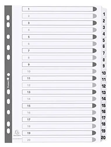 Produktbild: Exacompta MWD1-20Z Karton-Register 1-20 für DIN A4 aus Karton 20-teilig volle Höhe 21 x 29,7 cm weiß, verstärkte Taben mit Indexseite Trennblätter Trennstreifen Ordner-Register