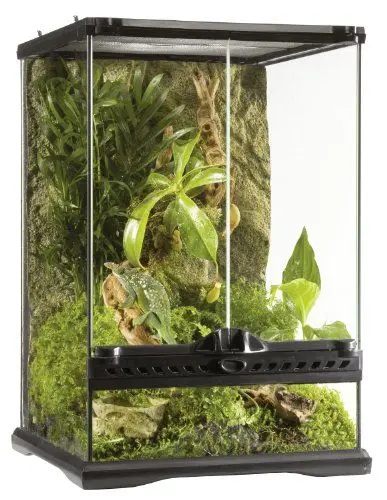 Produktbild: Exo Terra Terrarium aus Glas, mit einzigartiger Front Belüftung, 30 x 30 x 30cm