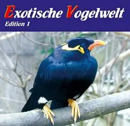 Produktbild: Exotische Vogelwelt - Vogelstimmen aus aller Welt: Allfarblori, Ararauna, Beo, Bourkesittich, Diamanttäubchen, Graupapagei, Halsbandsittich, ... Venezuelaamazone, Wellensittich, Zebrafink