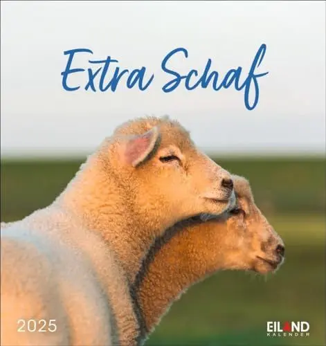Produktbild: Extra Schaf Postkartenkalender 2025: Ein kleiner Kalender zum Aufstellen und Aufhängen. Süße Schafe in allen Lebenslagen in einem Postkarten-Fotokalender. (Postkartenkalender Eiland)