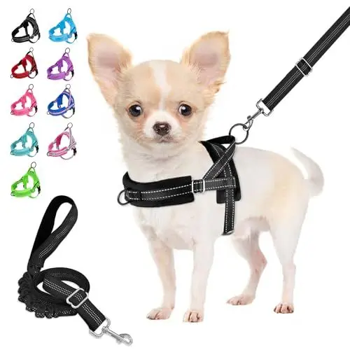 Produktbild: Eyein Hundegeschirr mit Leine für mittelgroße Kleine Hunde, Weich gepolsterter No-Pull Brustgeschirr mit 2 Leinenclips, Leichtgewicht Reflektierend Geschirr Hals und Brust verstellbar (Schwarz, S)
