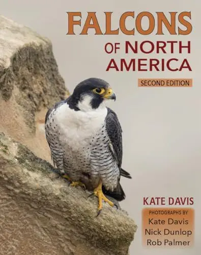 Produktbild: Falcons of North America