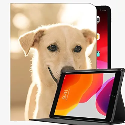 Produktbild: Fall für iPad Air 2 9.7 