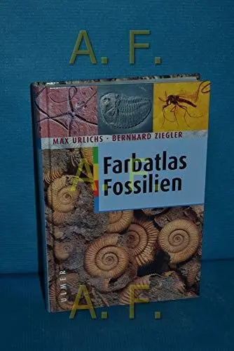 Produktbild: Fossilien (Farbatlanten)