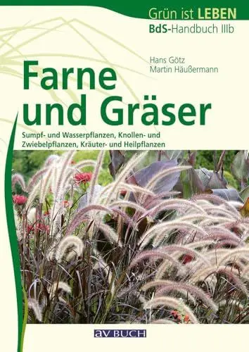 Produktbild: Farne und Gräser: Bds-Handbuch IIIb: BdB-Handbuch IIIb