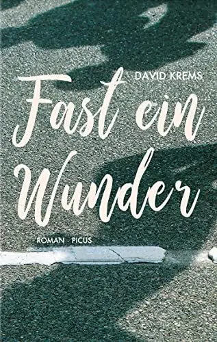 Produktbild: Fast ein Wunder: Roman